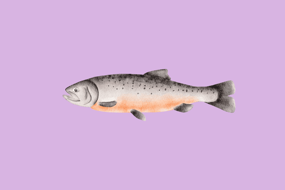 PDRN / Salmon DNA Skincare: Is It Actually Worth the Hype?